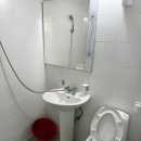 섬마을 펜션 | 울릉도 섬마을펜션 내돈내산 후기