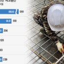 대한안전공사 네이버블로그