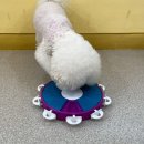 멍품유치원 이미지