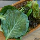 황금장어앤돈 | 모란역 맛집 삼미장어 모란 장어구이 추천