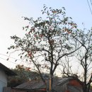 풍경하루 이미지