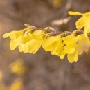 현대카미다스 이미지