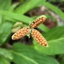 아람어린이집 이미지