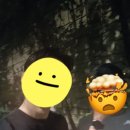 자담치킨 양주덕계점 네이버블로그