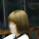 브라운커트