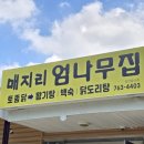 4403 | 강원도 원주 여행 중 우연히 만난 30년 노포, 삼계탕 맛집 매지리 엄나무집 솔직후기 (야외 애견동반 가능)