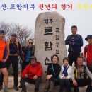 천년의향기 Daum카페