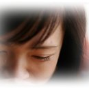 하야로비 이미지