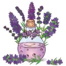 아로마와 색채심리 이미지