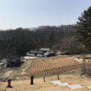 신호 묘 이미지