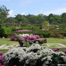 카멜리아힐 이미지