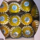 오늘 과일 이미지