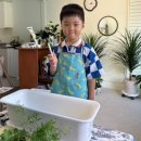 청초화 | [서울 마포구 창전동] 마포 아이와 가볼 만한 곳, 체험학습-청초화/내 돈 내산