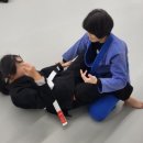 파라에스트라전하