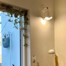 스테이수채화 이미지