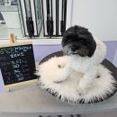 (주)라온부동산중개법인 이미지