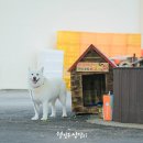 삼달2리경로당 이미지