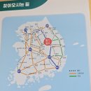 풍기인삼향기 | 2025 풍기인삼축제 – 천년의 인삼향과 건강한 가을 여행