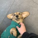 비커밍스튜디오 이미지