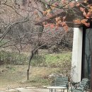 무무호텔 | 숙소/ 강화도 [호텔 무무 새들 브라운] 내돈내산 솔직 후기 (감성숙소/조식/스파/웰컴티)