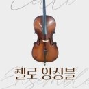 스즈키뮤직주