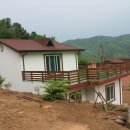 여주-0699 Daum카페