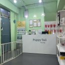 퍼피테일 이미지