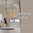 라인댄스 | 대전 폴댄스 땀 제대로 흘리고 온 여성전용 오하운폴댄스학원 일일체험 후기