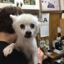 프렌즈동물병원 이미지