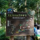 장성양복 - 111 | 장성양복