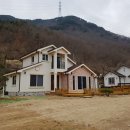 천일조경