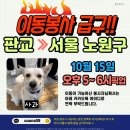 사과/10월15일 5~6시사이/판교＞＞노원구 이미지