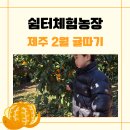 고고농장2 이미지