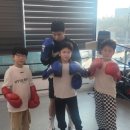 복싱 그 자체 이미지