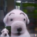 군도4-2L | 정말 이 어이없는 바보스러움 하지만 기분만 좋으면 오케이!