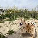 홍경태동물병원 이미지