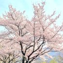 공복회관 이미지