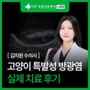 요도 | 노원 동물병원 고양이 특발성 방광염, 요도폐색 치료 후기