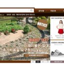 이제이유통