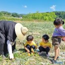 천령유치원 이미지