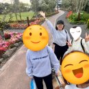 에코촌유스호스텔 | 선흘 동백동산 에코촌 유스호스텔, 제주 동쪽 숙소 추천