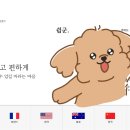 엄지코스메틱