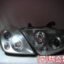 퍼피테일 이미지