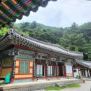 송계사 - 1860 | 거창여행 송계사_해인사 말사 짧게 둘러본 후기