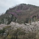 밀양노벨CC클럽하우스 이미지