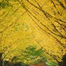 거기에/거기에서 이미지