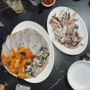 블루코코 컴퍼니 | 삶과 우리를 이어주는 끈은 생각보다 튼튼해요