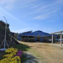 더존2한우 이미지