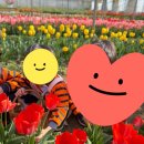 지움 어린이집 이미지