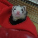 서초1동 주민센터 이미지